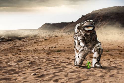 Чем станут питаться земляне на Марсе?