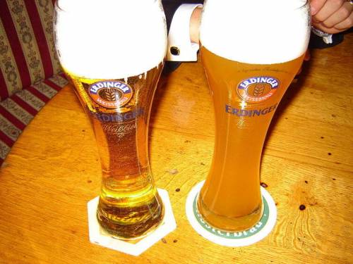Справа нефильтрованное пшеничное пиво («Хефевайцен»), слева — фильтрованное («Кристаллвайцен»)