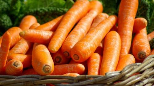 Какие блюда приготовить из моркови?